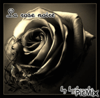la rose noire - GIF animé gratuit