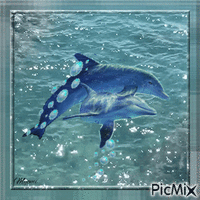 dauphins animasyonlu GIF