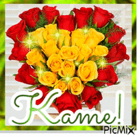 Kate roses red and yellow animált GIF