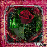 bouton de rose rouge - Безплатен анимиран GIF