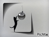 Don't Touch - Zdarma animovaný GIF