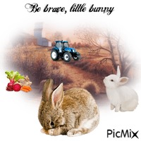 Be Brave Little Bunny GIF animado