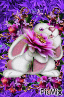 A BIG WHITE RABBIT HOLDING A BIG PINK FLOWER. STANDING IN FRONT OF PURPLE, AND PINK FLOWERS, SOME GLITTERS, AND SOME PURPLE BUTTERFLIES. geanimeerde GIF