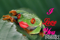 Bisous de Grenouille - Free animated GIF