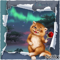 kotě a růže - GIF animado gratis