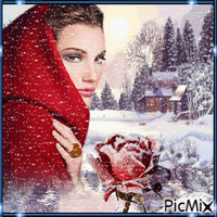 Rose and snow - Free animated GIF
