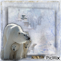 Polar bears ❤ - GIF animé gratuit