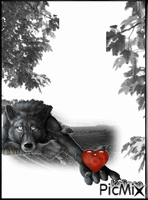 A  Wolf in love - Gratis geanimeerde GIF