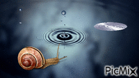 escargot - Darmowy animowany GIF
