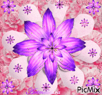 Brilho das Flores 4/9 animerad GIF