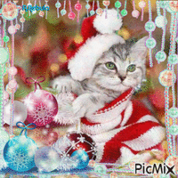 Christmas/Cat