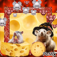 Couple de rats - GIF animé gratuit