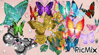 butterflies - Nemokamas animacinis gif