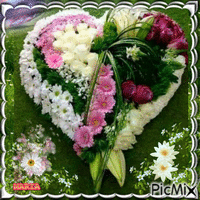 FLOWERS.FOR YOU!!!!!!!!
