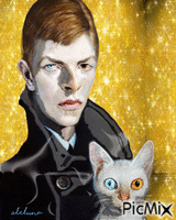 Bowie - Bezmaksas animēts GIF