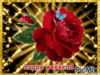 krásný víkend - Bezmaksas animēts GIF