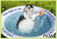 spa chat - Free animated GIF