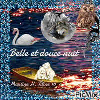 Belle et douce nuit - Bezmaksas animēts GIF