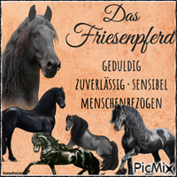 Das Friesenpferd - Animovaný GIF zadarmo