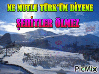 ŞEHİTLER ÖLMEZ - Бесплатный анимированный гифка