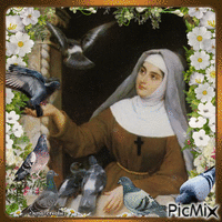 nun with pigeons animovaný GIF