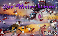 Winter - Bezmaksas animēts GIF