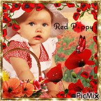 Red Poppy - GIF animé gratuit