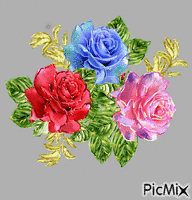 kvety анимиран GIF