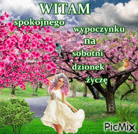 witam - Free animated GIF