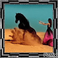 Cavalo e mulher - GIF animado grátis