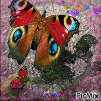 papillones fantasia!!!!! - Gratis animerad GIF