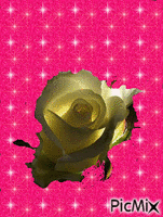 Rosa - Gratis animerad GIF