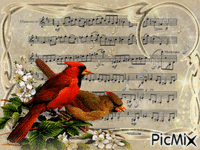 Tout oiseau aime à s'entendre chanter. - Free animated GIF