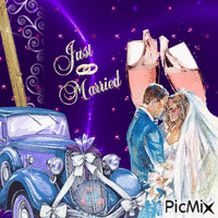 marriage 动画 GIF