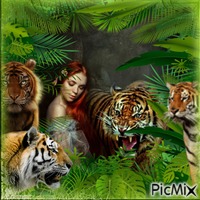 Die Frau und ihre Tiger