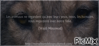 monhommageauxloups - 免费动画 GIF
