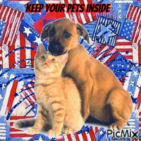keep your pets inside July 4,th geanimeerde GIF