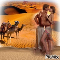 couple dans le désert - png ฟรี