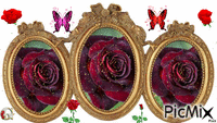roses 3 - Δωρεάν κινούμενο GIF