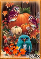autumn owl κινούμενο GIF