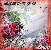 Welcome owl winter