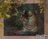 El Tigre Animated GIF