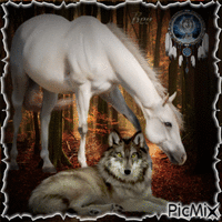 The horse and wolf - GIF animé gratuit