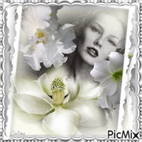 White Orchid - Nemokamas animacinis gif