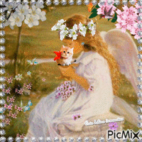 HD ange et son chat - Free animated GIF