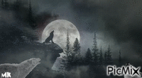 Saludo a la luna Animated GIF