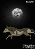 Wolf animowany gif