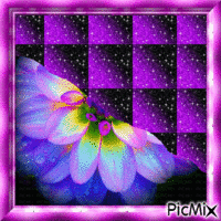 Créa violette - Gratis geanimeerde GIF