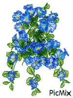 kvety Animated GIF