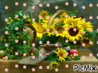 slnečnice - Darmowy animowany GIF